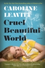 Image for Cruel Beautiful World: A Novel