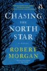 Image for Chasing the north star  : a novel