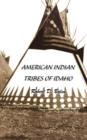 Image for &quot;American Indian Tribes of Idaho&quot;