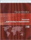 Image for Fiscal Monitor, November 2010