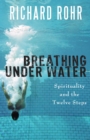 Image for Breathing under water: spirituality and the twelve steps