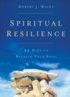 Image for Spiritual Resilience