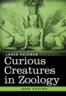Image for Curious Creatures in Zoology
