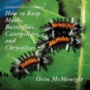 Image for Lepidopteran Zoology : How to Keep Moths, Butterflies, Caterpillars, and Chrysalises