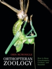 Image for Orthopteran Zoology