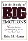 Image for Little book of big emotions: how five feelings affect everything you do (and don&#39;t do)