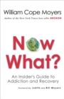 Image for Now what?: an insider&#39;s guide to addiction and recovery