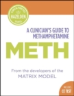 Image for A clinician&#39;s guide to methamphetamine