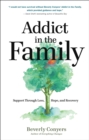 Image for Addict in the Family