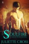 Image for Soulfire
