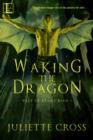 Image for Waking the Dragon