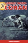 Image for Savage Sword Of Conan Volume 20