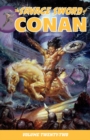 Image for Savage Sword Of Conan Volume 22