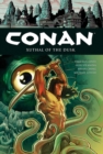 Image for Conan Volume 19