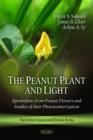 Image for Peanut Plant &amp; Light