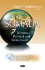 Image for Somalia  : economic, political, and social issues