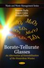 Image for Borate-tellurate glasses  : an alternative of immobilization of the hazardous wastes