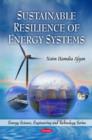 Image for Sustainable resilience of energy systems