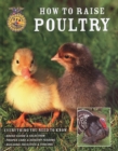 Image for How to raise poultry: everything you need to know