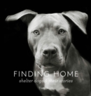 Image for Finding Home : Shelter Dogs and Their Stories