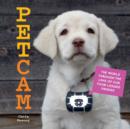 Image for PetCam: the world through the lens of our four-legged friends