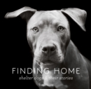 Image for Finding home: shelter dogs and their stories