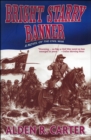 Image for Bright starry banner: a novel of the Civil War