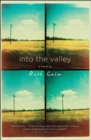 Image for Into the valley