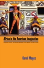 Image for Africa in the American imagination  : popular culture, racialized identities, and African visual culture