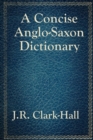 Image for A concise Anglo-Saxon dictionary