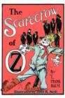 Image for The Scarecrow of Oz