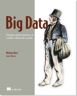 Image for Big data  : principles and best practices of scalable realtime data systems