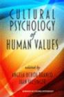 Image for Cultural Psychology of Human Values