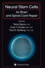Image for Neural Stem Cells for Brain and Spinal Cord Repair
