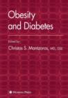 Image for Obesity and Diabetes