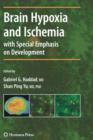 Image for Brain Hypoxia and Ischemia