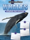 Image for Whales, drawing and reading