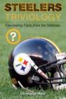 Image for Steelers triviology: fascinating facts from the sidelines