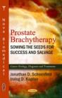 Image for Prostate Brachytherapy