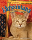 Image for Abyssinians
