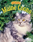 Image for Maine Coons