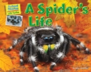 Image for Spider&#39;s Life