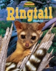 Image for Ringtail