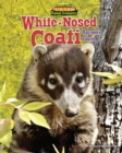 Image for White-Nosed Coati