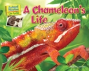 Image for Chameleon&#39;s Life