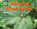 Image for Amazing Plant Bodies