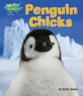 Image for Penguin Chicks