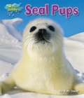 Image for Seal Pups