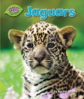 Image for Jaguars