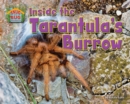 Image for Inside the Tarantula&#39;s Burrow